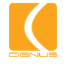 Bridgenix
